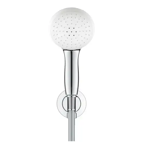 Душевая лейка 2 режима со шлангом и кронштейном хром Grohe Tempesta 110 26406003 - almatherm.kz