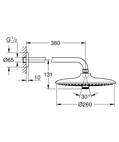 Душевая лейка тропическая с кронштейном круг Grohe Euphoria 260 SmartControl 26459000 - almatherm.kz