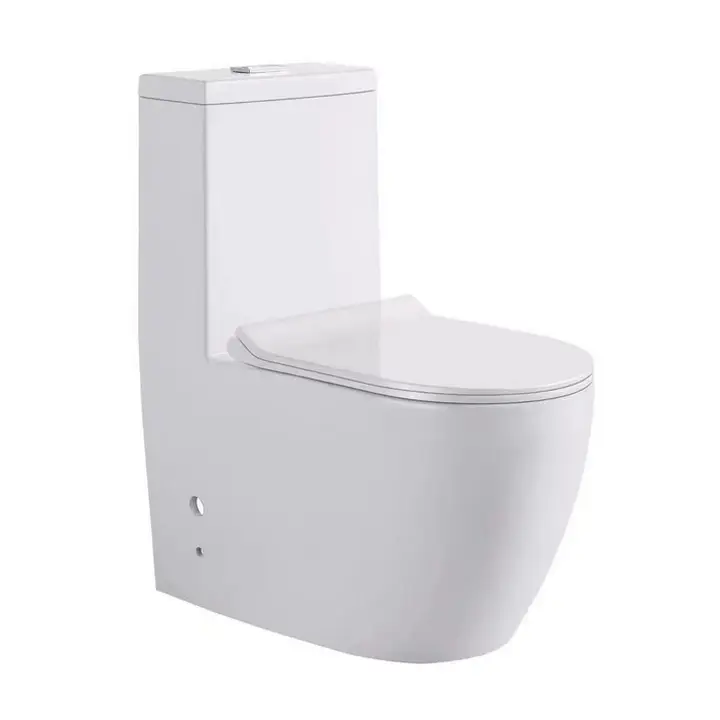 Унитаз моноблок выпуск прямой Saniteco TS1668 - Изображение 1 - almatherm.kz