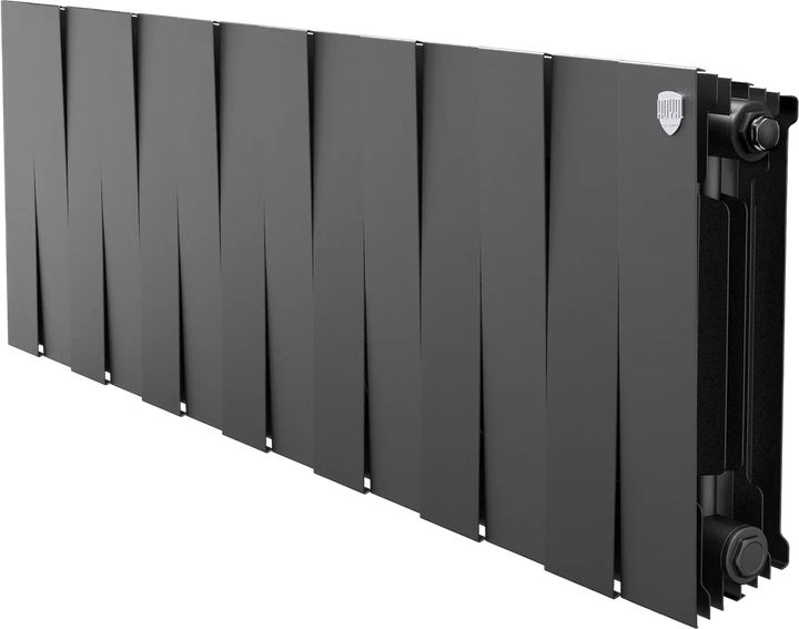 Радиатор биметаллический 300x100 (1 секция) PianoForte Noir Sable Royal Thermo - Изображение 1 - almatherm.kz