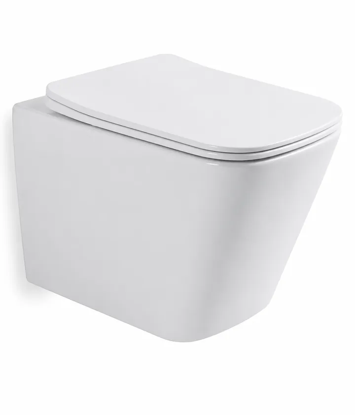 Унитаз подвесной Rein-205E Tornado - Изображение 1 - almatherm.kz