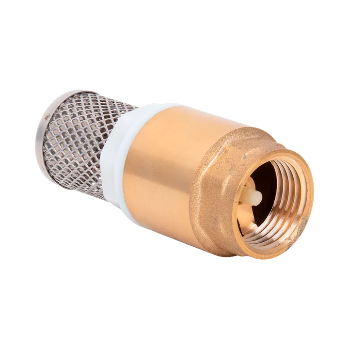 Клапан обратный 1" с сеткой Aqualink - Изображение 1 - almatherm.kz